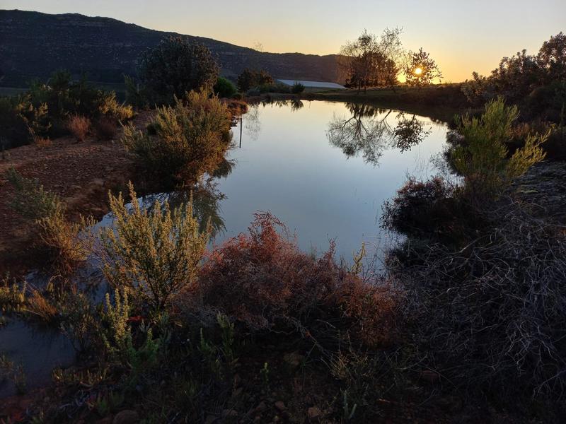 4 Bedroom Property for Sale in Piketberg Rural Western Cape